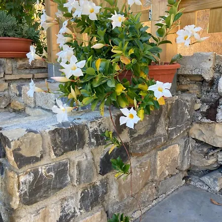 Holiday home Casa Matilde